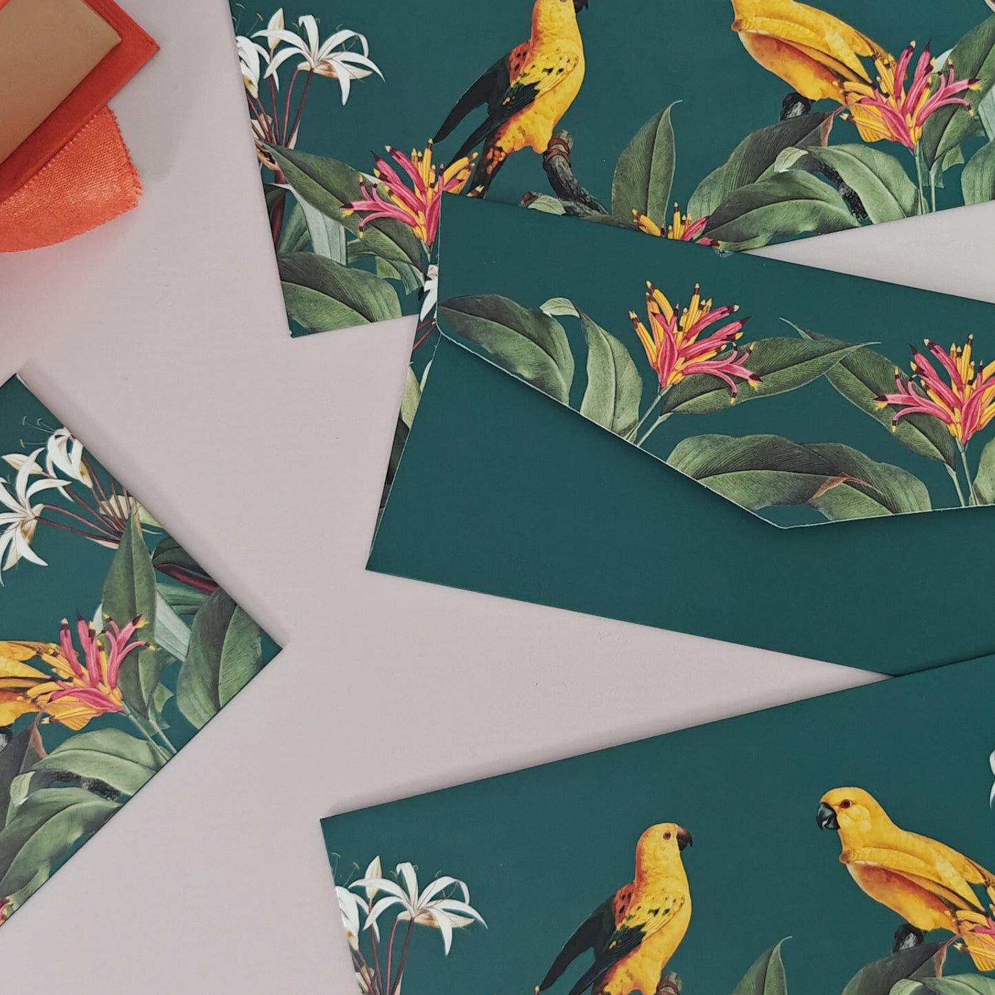 Birds of Paradise Print Money Envelopes