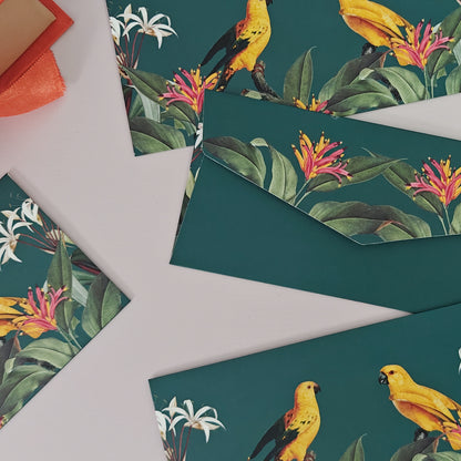 Birds of Paradise Print Money Envelopes