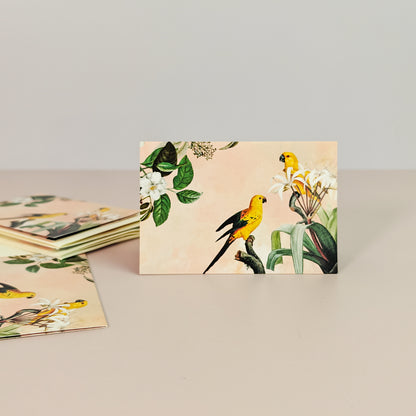 Birds of Paradise Mini Folding Cards